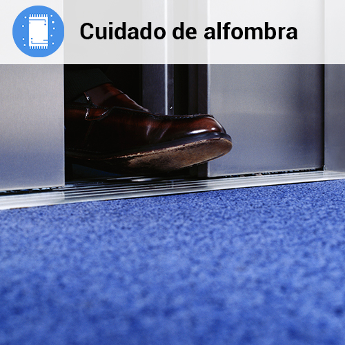 prodisa-servicios-alfombra