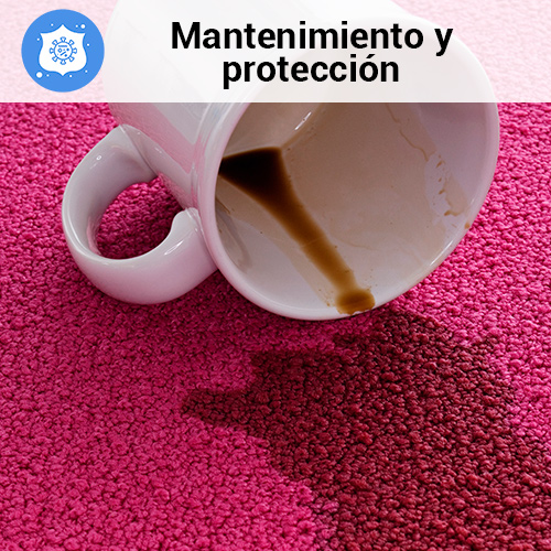 prodisa-servicios-protector